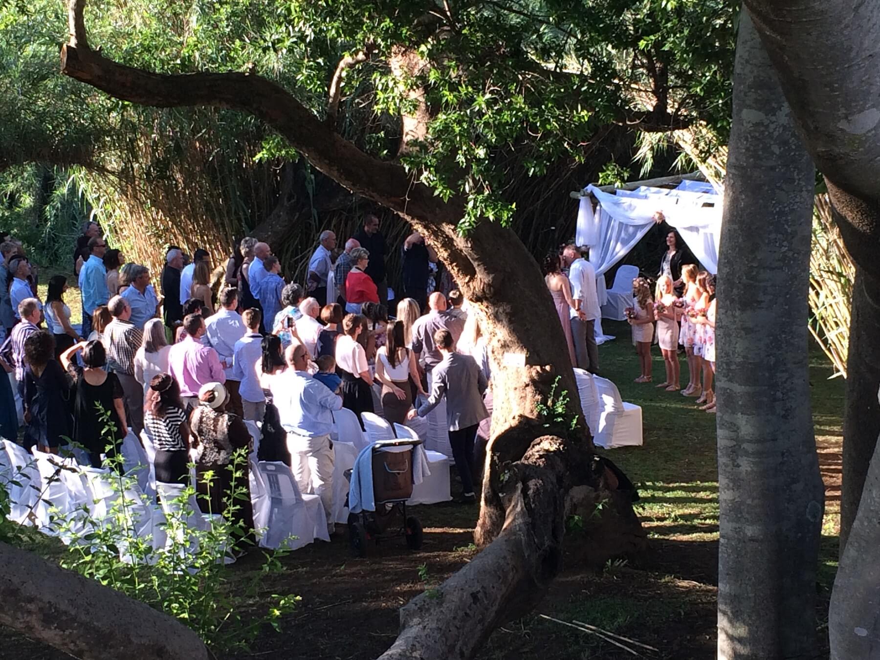 Weddings (23)